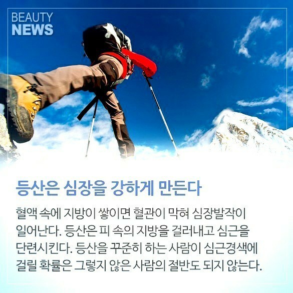 나눔정보 이미지
