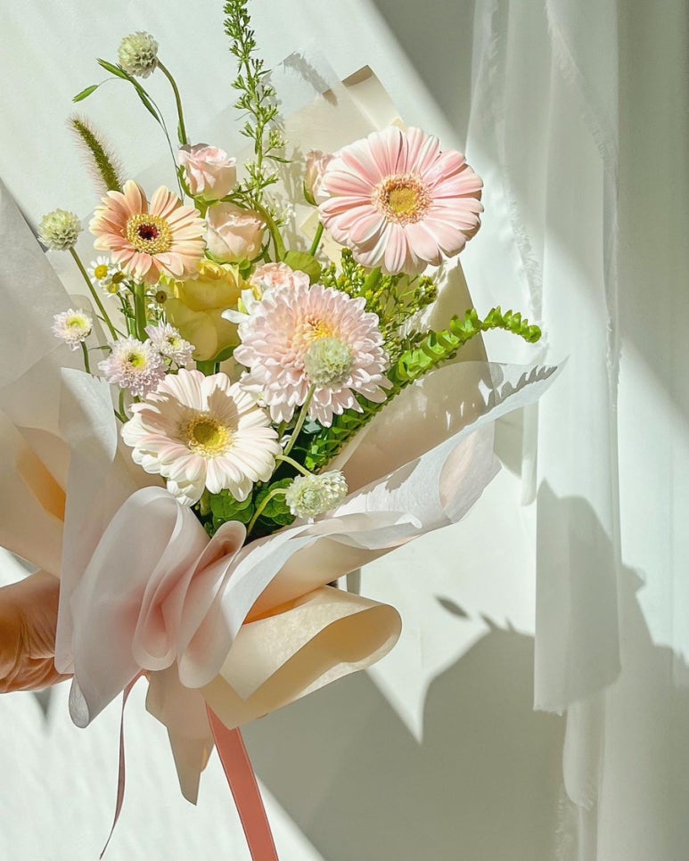 피오유플레르 이미지