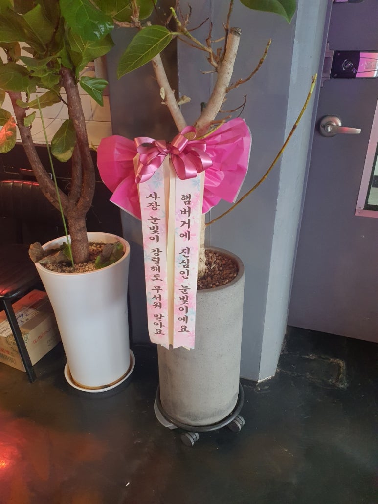 쳐비스 이미지