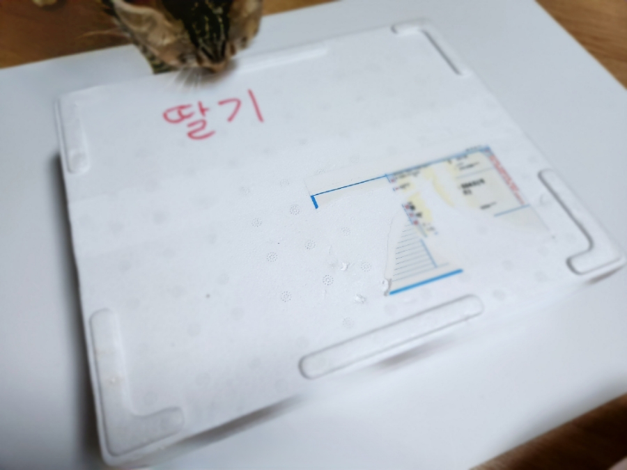 미녀딸기 이미지