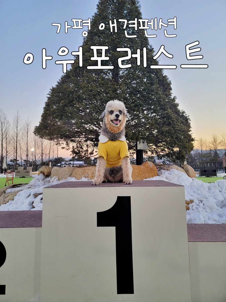 아워펜션 이미지