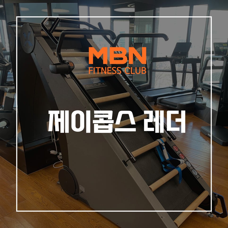 제이콥스레더(Jacob's Ladder) 이미지