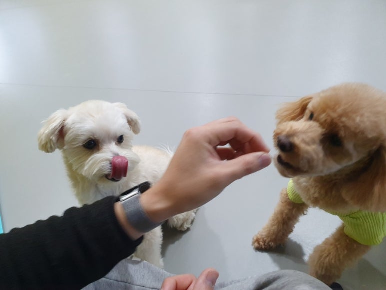 카페헤이지 이미지