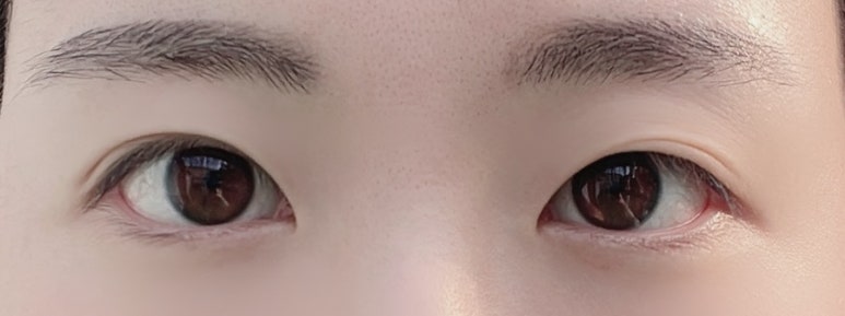 하루하나(HARUHANA) 이미지