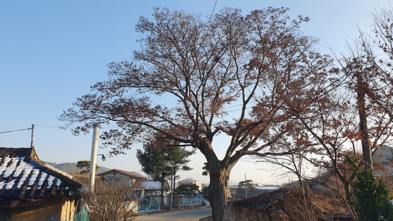 용연상회 이미지