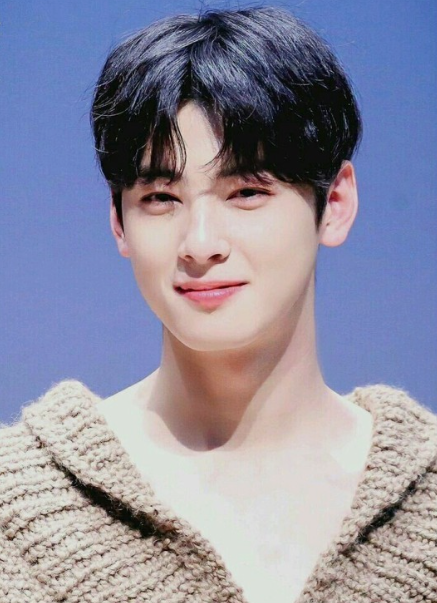 플로레스타 이미지