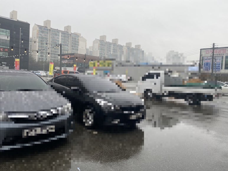 인셀덤M뷰티 이미지