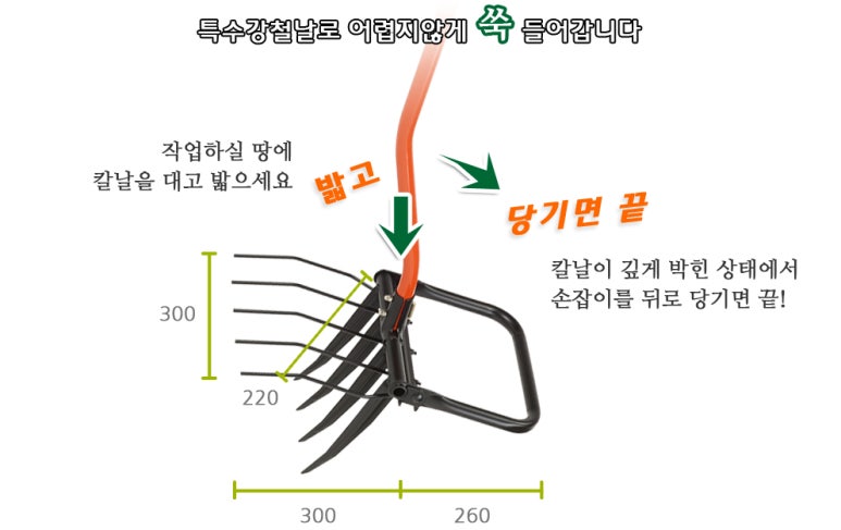 로타리건재 이미지