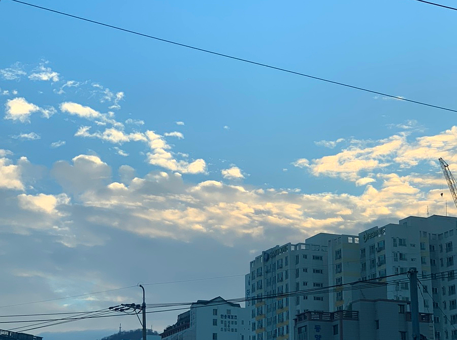 아덴블랑제리영도 이미지