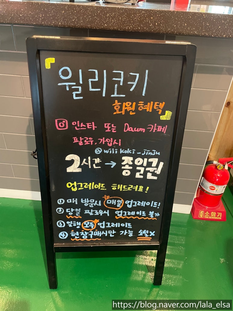 윌리코키 진주점 이미지
