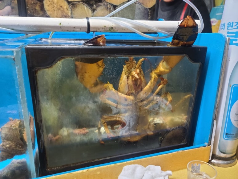 갈매기포차 이미지