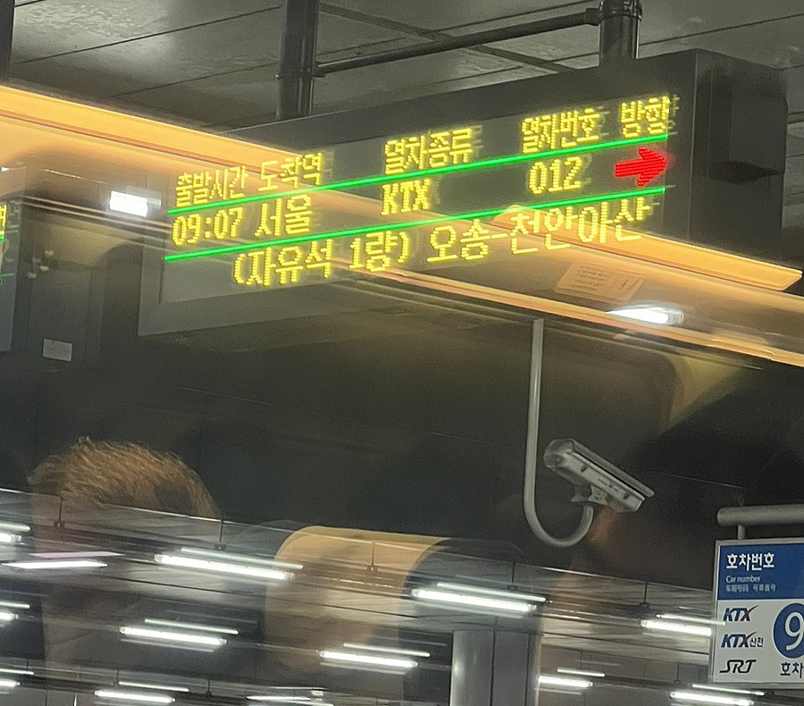 떡볶이 퍼주는 판다 이미지