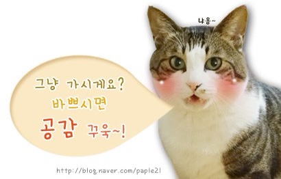 북전주농협하나로마트 이미지