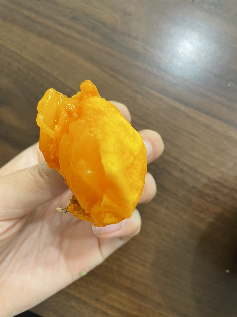 몽페쉬 이미지