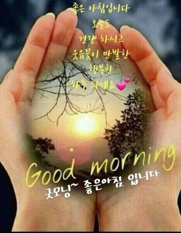 김태산 이미지