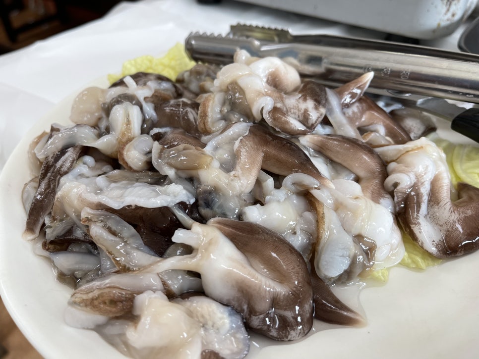 광수 새조개 이미지