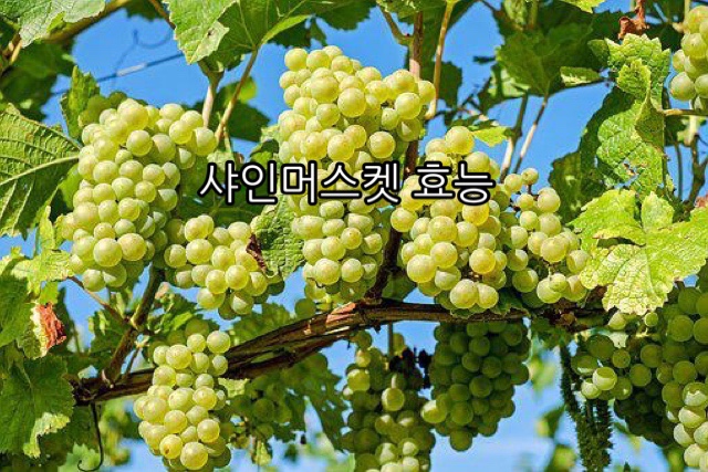 원짐 이미지