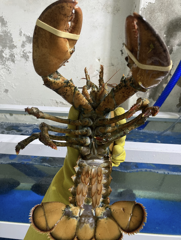 빅히트바다낚시터 이미지