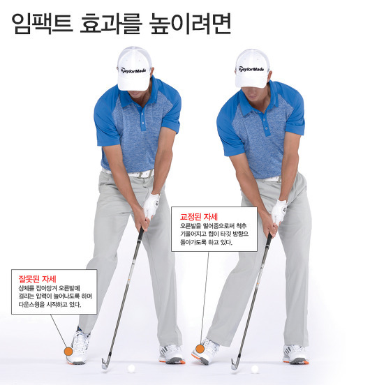 세진기초 이미지