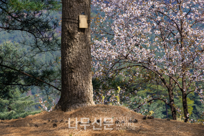 한국산림복지진흥원하늘숲추모원 이미지