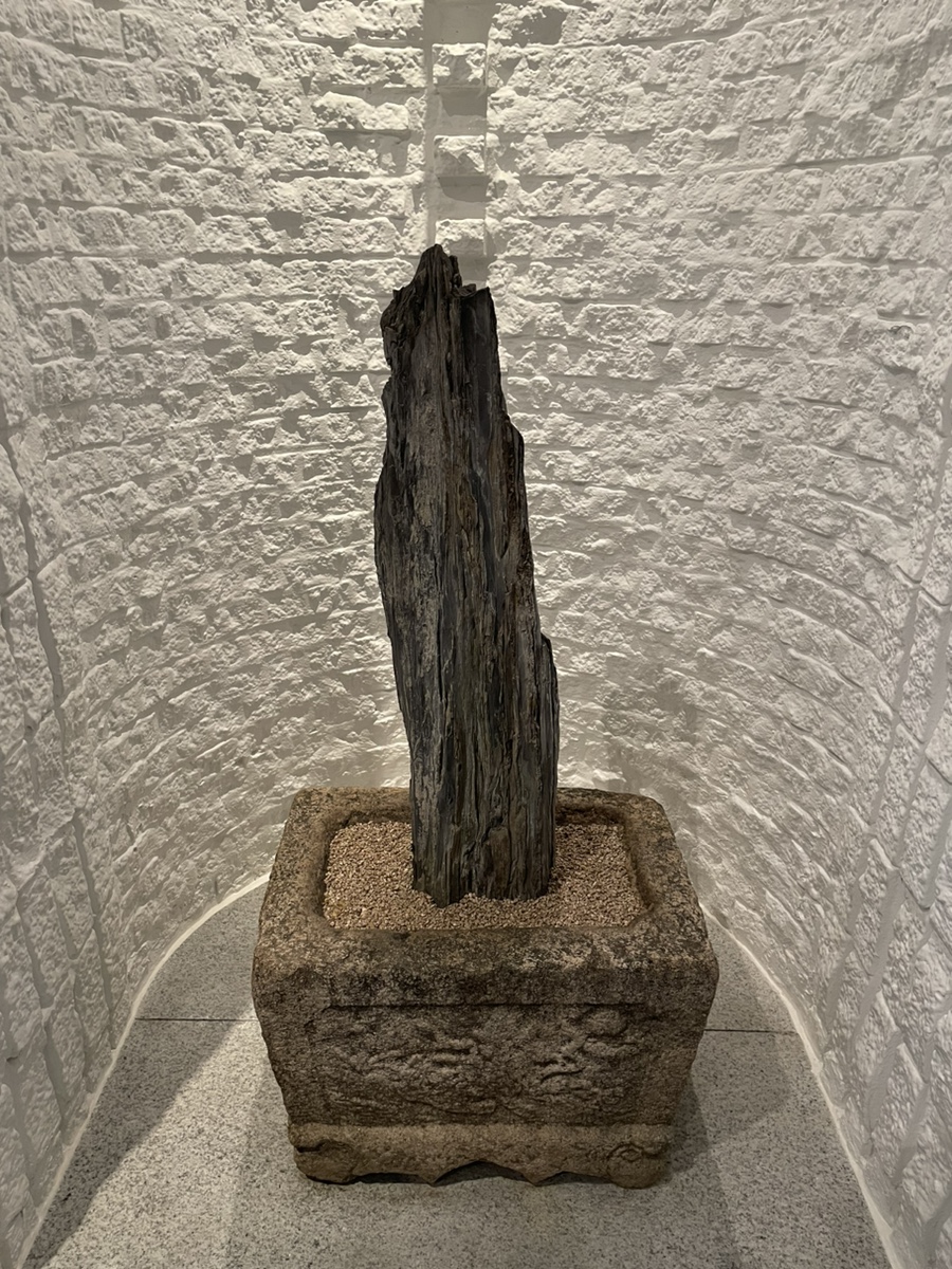 앤솔로지아 이미지