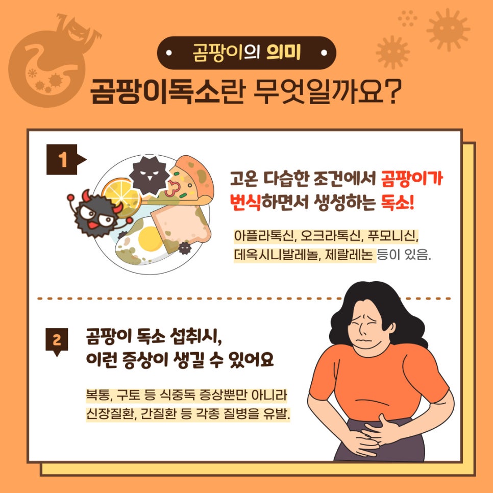 올바른식품 이미지