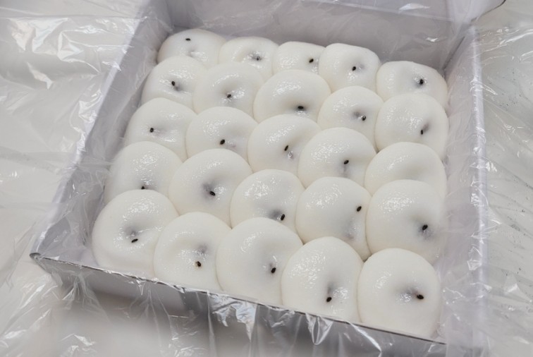 떡궁 이미지