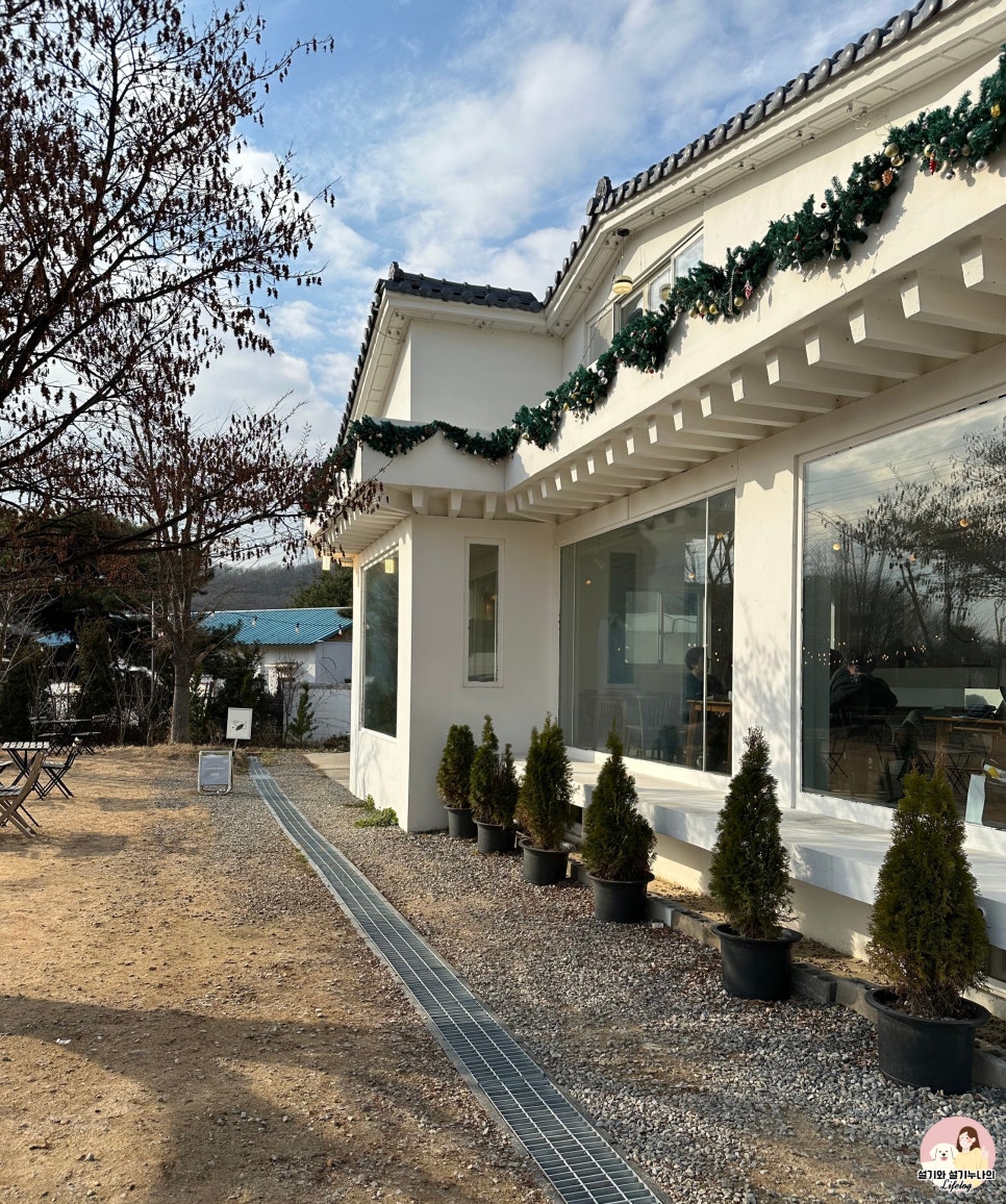 노만팜 이미지