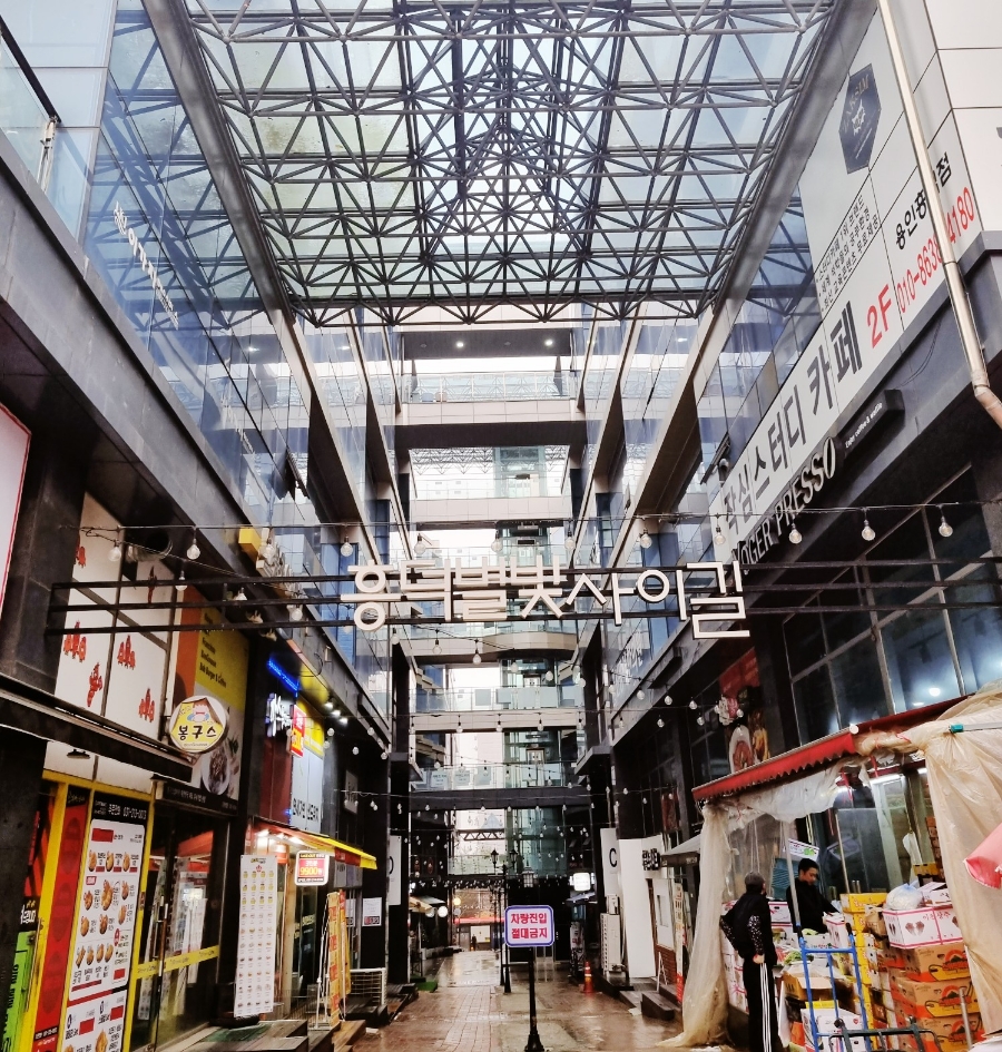 연세가빈샌드위치 이미지