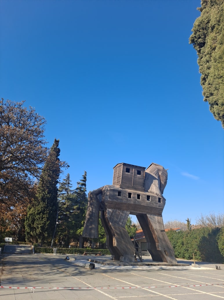 카트로인 이미지