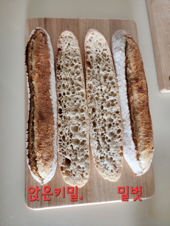밀꽃이야기 이미지