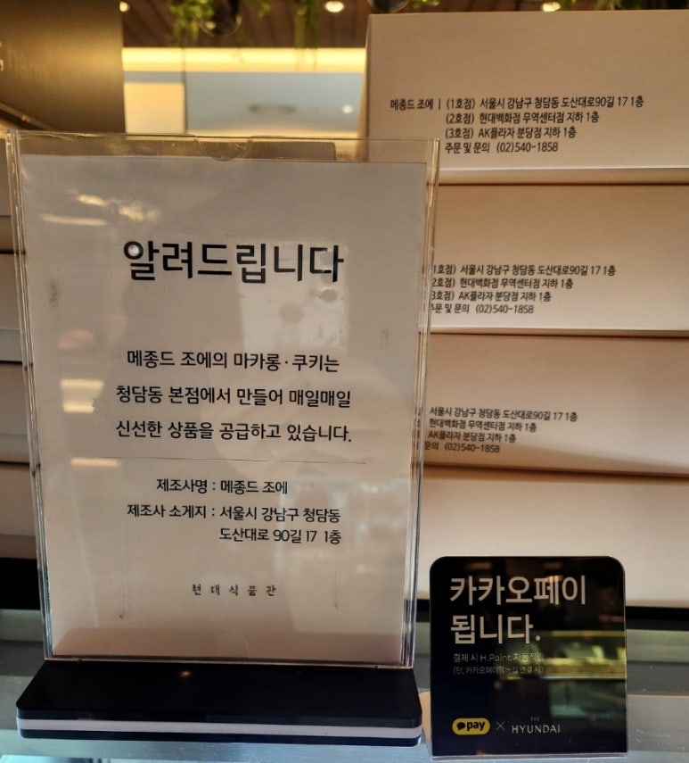 메종 드 조에 이미지