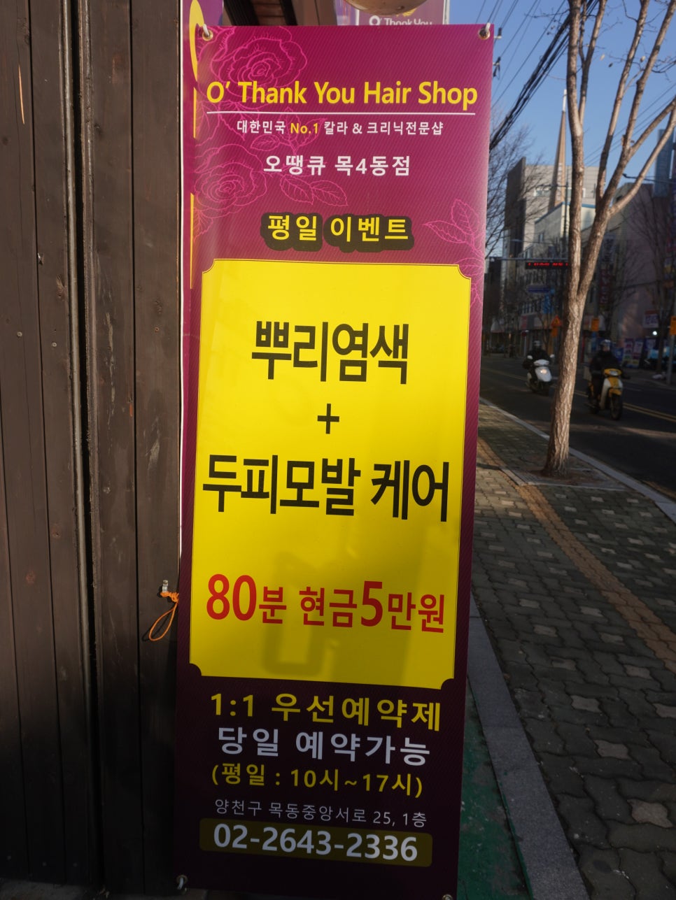 두피케어머리염색방 이미지