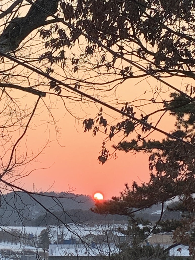 스타벅스커피 보라매대교점 이미지