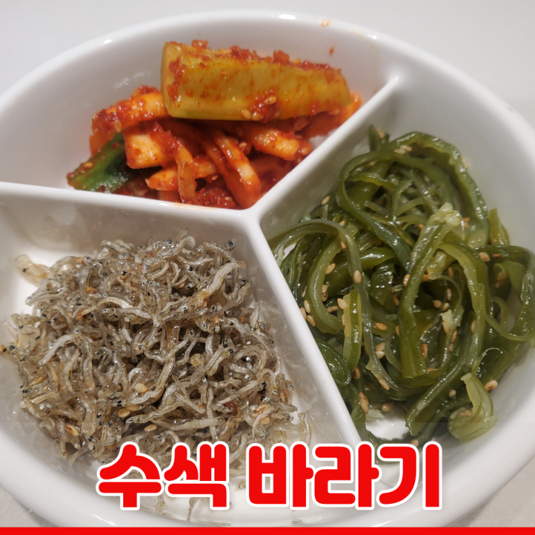 수색바라기 사진 7