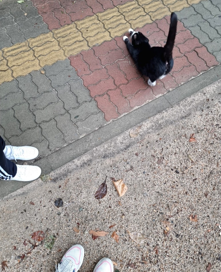 참치명적 방이직영점 이미지