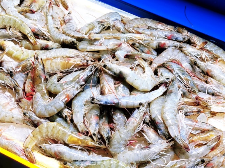형제농수산 이미지