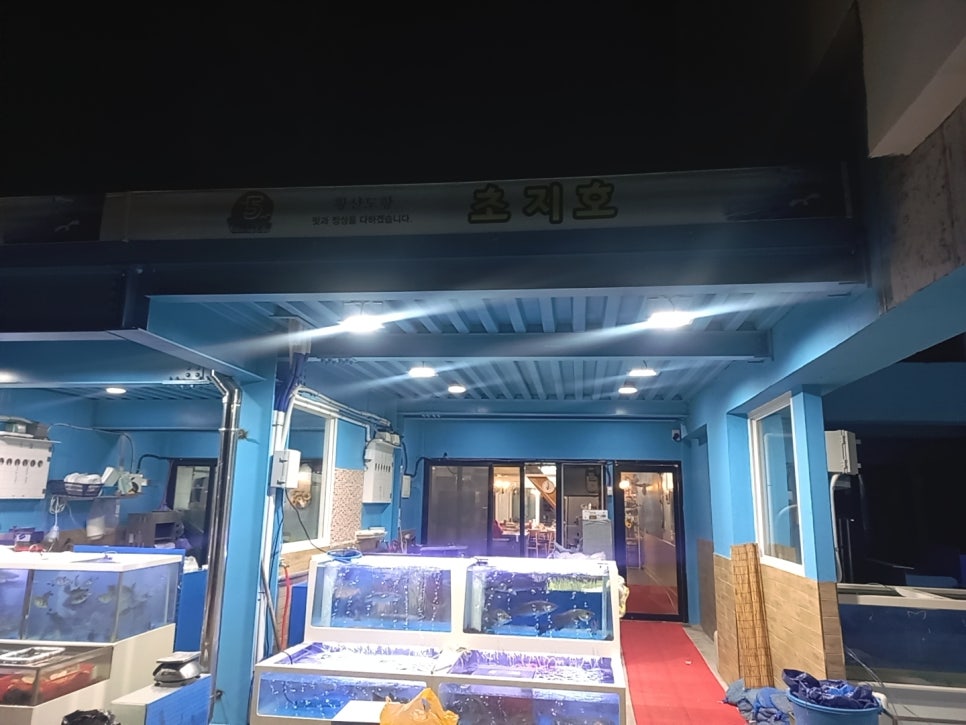 초지호 이미지