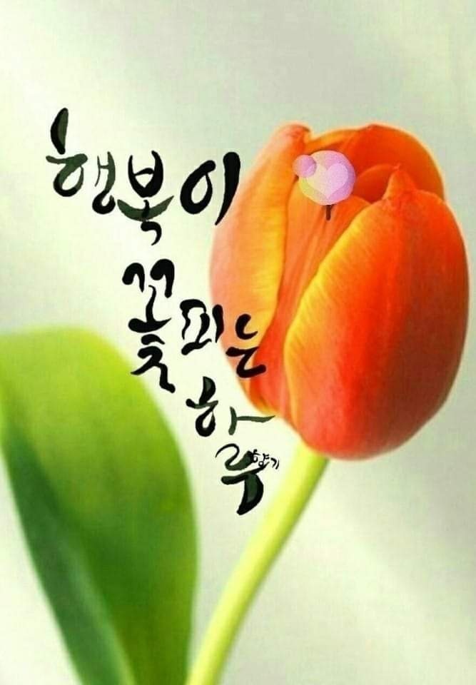 행복상사 이미지