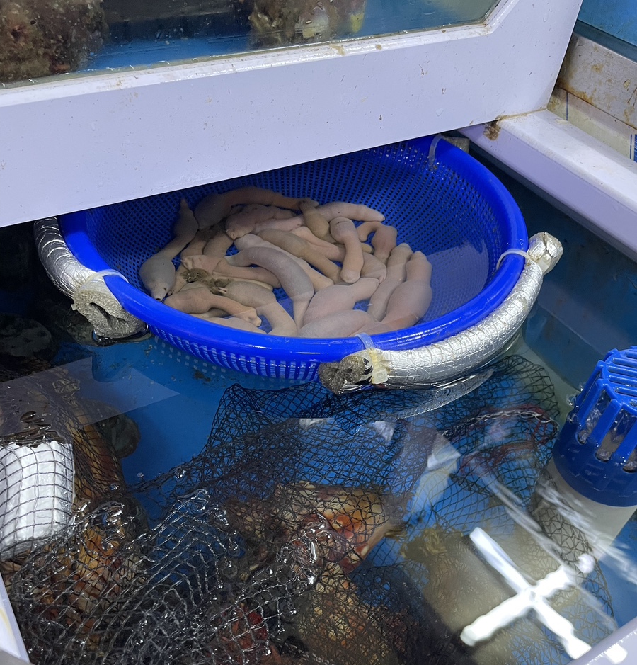 연화리해물만찬 이미지