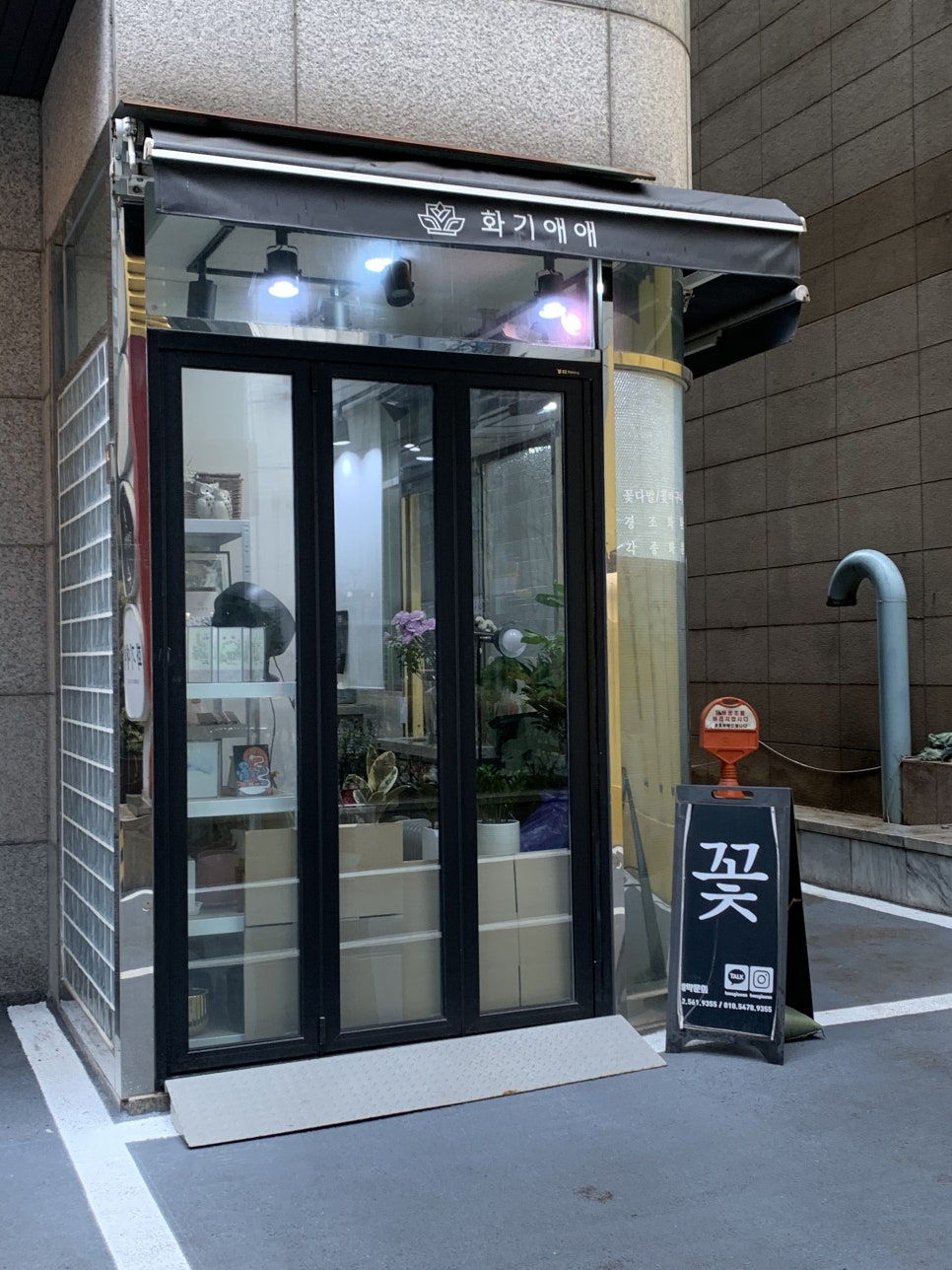 화기애애 플라워&플랜트 이미지