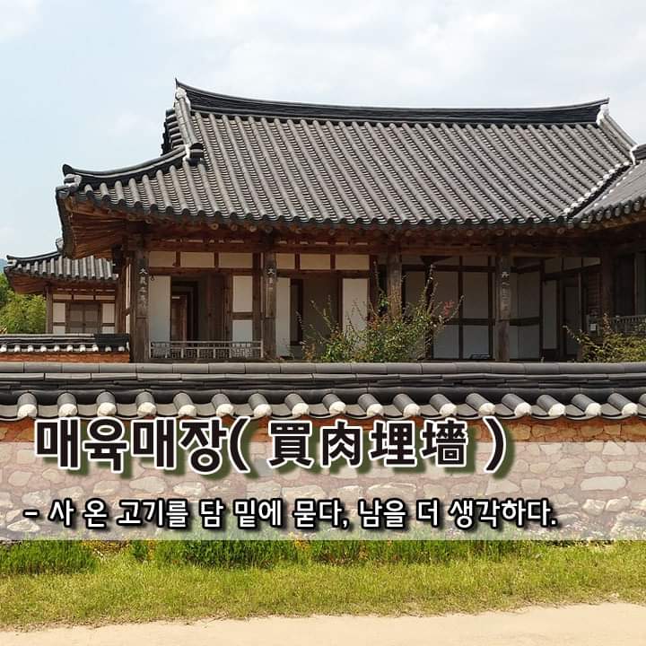 담 이미지