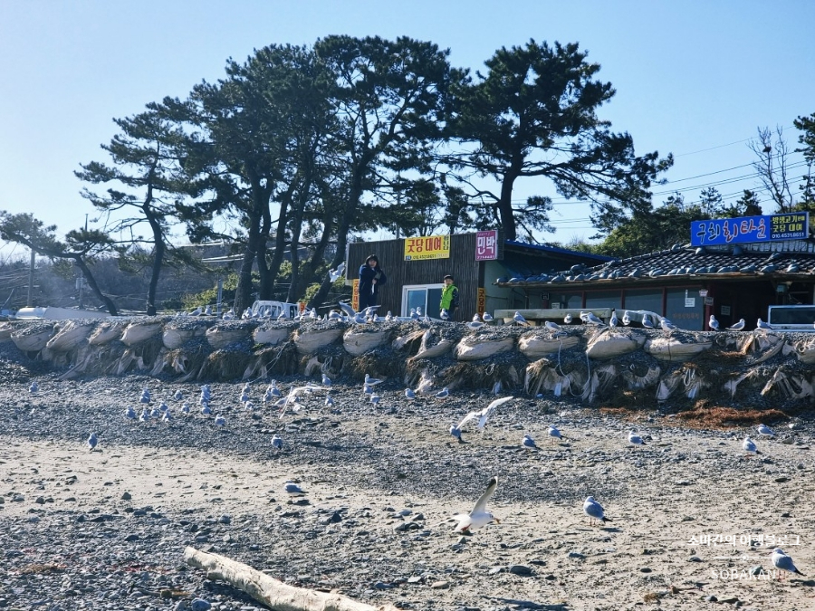 대왕릉민박 이미지
