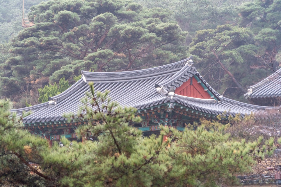 도동종합자동차정비 이미지