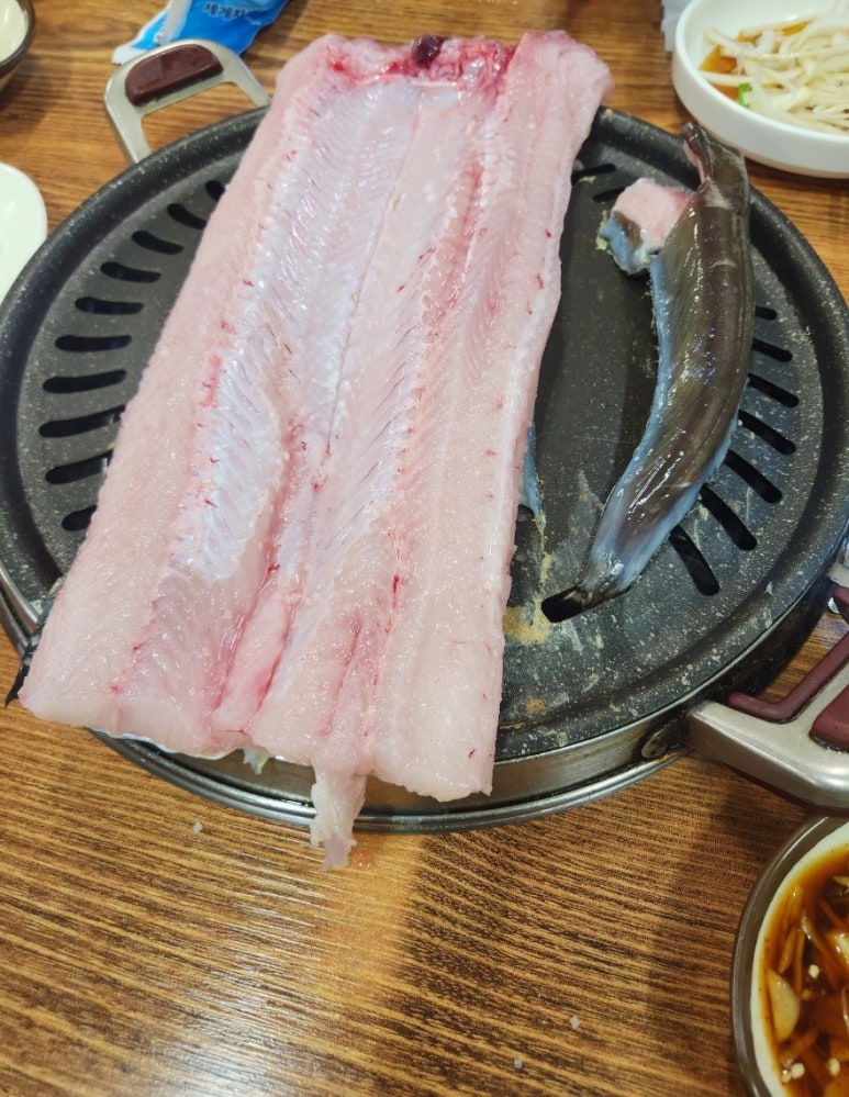 노형바다장어 이미지