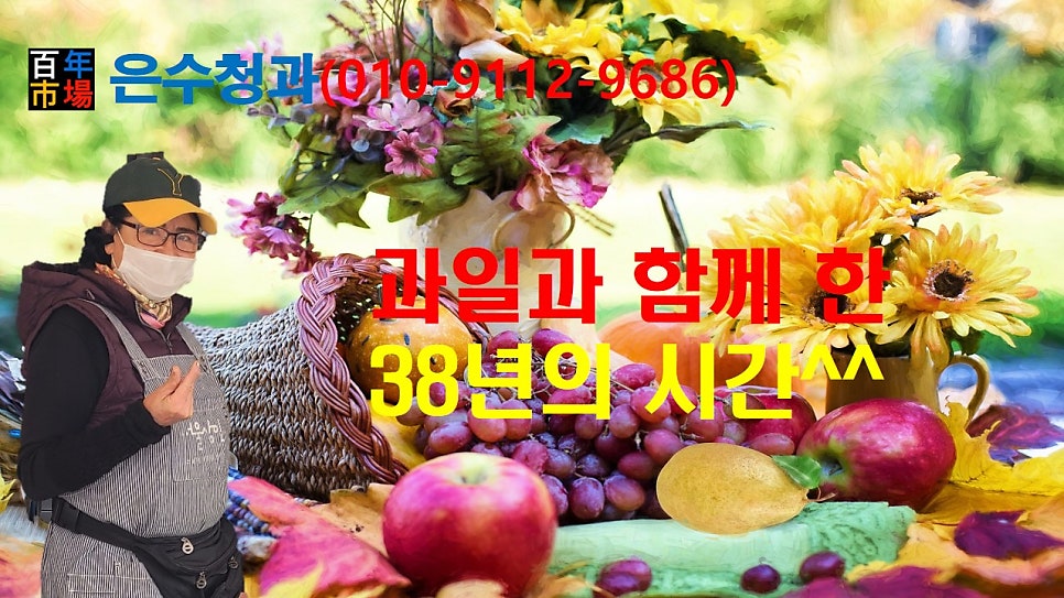 백년청과 이미지