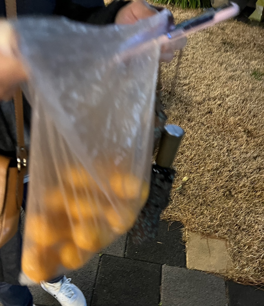 돗깨비 이미지