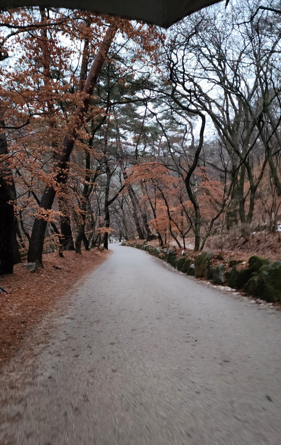 나무제빵소 이미지