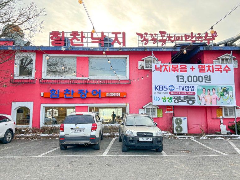힘찬낙지 이미지