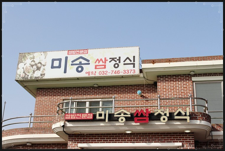 더미송 이미지